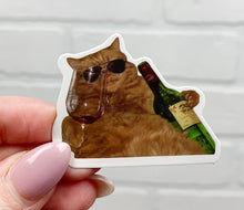 Load image into Gallery viewer, Funny Cat Stickers | Mystery Pack
