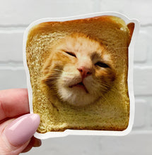 Load image into Gallery viewer, Funny Cat Stickers | Mystery Pack
